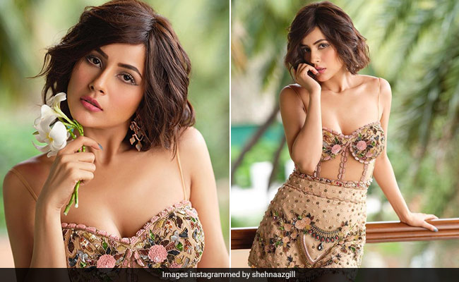 शहनाज गिल के लेटेस्ट फोटोशूट ने जीत लिया फैंस का दिल, चंद मिनट में वायरल हुईं तस्वीरें