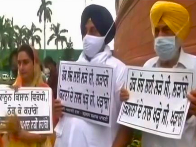 Pegasus, Price Hike, Posters: Opposition's War On The Government