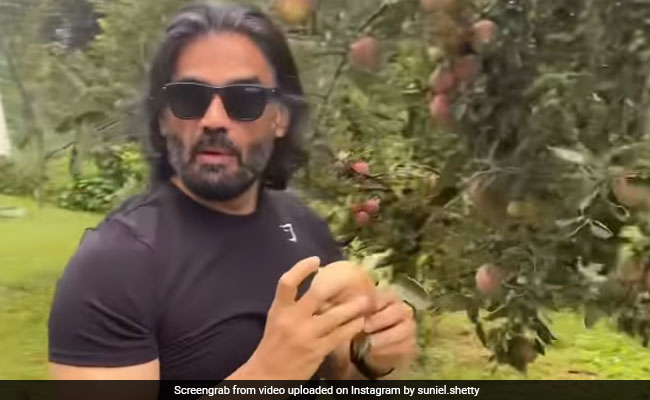 सुनील शेट्टी ने बगीचे से तोड़ लिए सेब, कैमरे पर पड़ी नजर तो बोले- पूछ कर लिया हूं...देखें Video