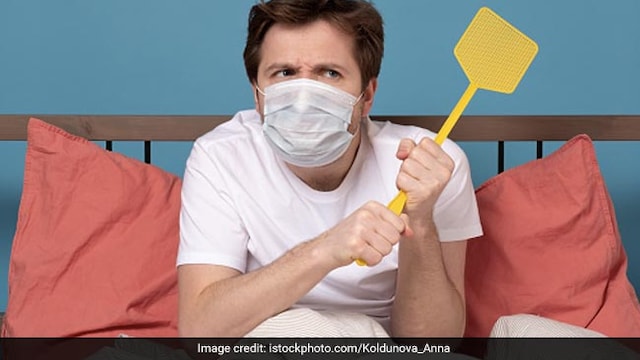 World Mosquito Day 2022: Date, Significance, How To Prevent Mosquito Bites?