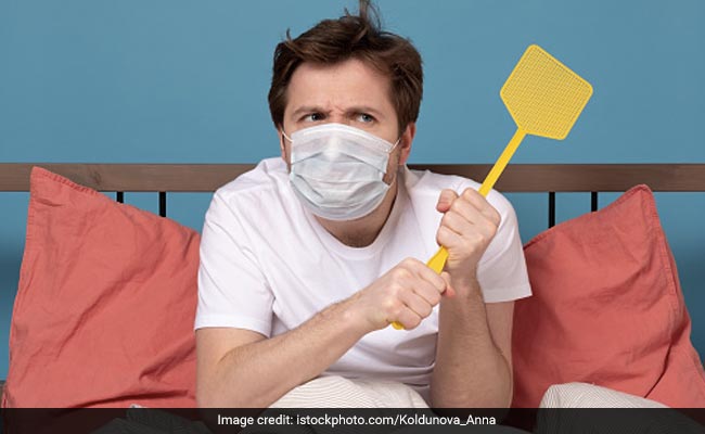 World Mosquito Day 2022: Date, Significance, How To Prevent Mosquito Bites?