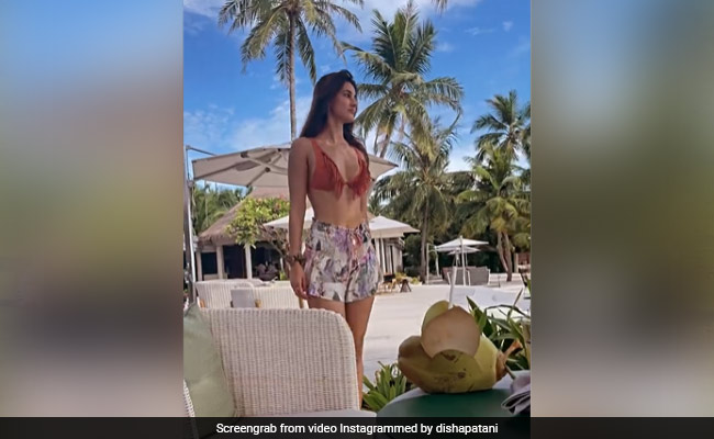 Disha Patani Left Her Heart In This Beach Destination. See Her Post