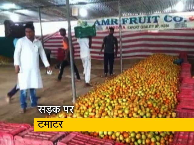 महाराष्ट्र: सही कीमत नहीं मिलने से नाराज किसान, सड़कों पर फेंक रहे हैं टमाटर