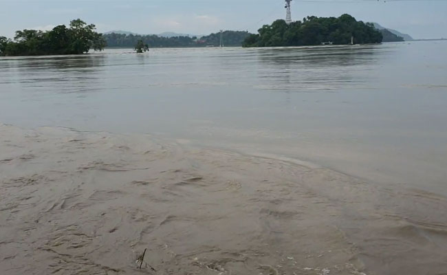 70% Of Kaziranga Flooded, Assam Chief Minister's Appeal As 3 Deer Die