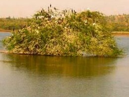 4 More Indian Sites Added To Ramsar List As Wetlands Of International Importance 4 More Indian Sites Added To Ramsar List As Wetlands Of International Importance