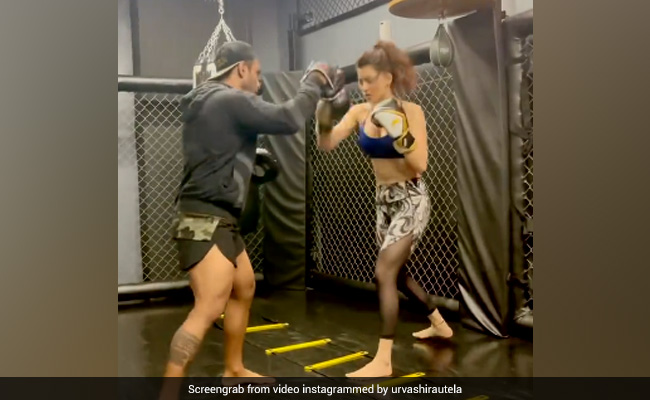 उर्वशी रौतेला ने बॉक्सर की तरह यूं लगाए ताबड़तोड़ पंच, फैन्स बोले- 'बॉक्सिंग में मिलेगा गोल्ड'...देखें Video