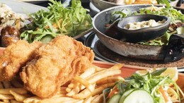 International Beer Day 2021: 7 Delicious Recipes To Cook With Beer
