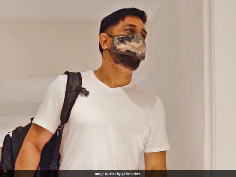 CSK Celebrate 'World Lion Day' With MS Dhoni's "Entry" In Team Camp