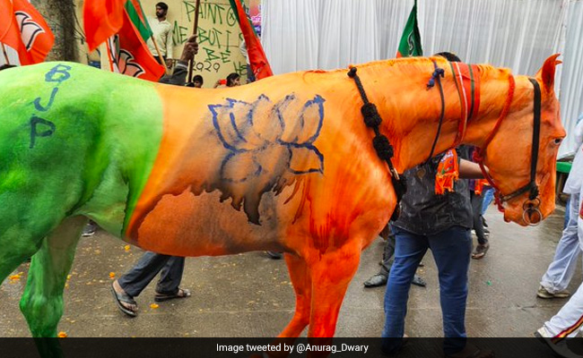 BJP Flag Painted On Horse At Yatra, Maneka Gandhi's NGO Files Complaint