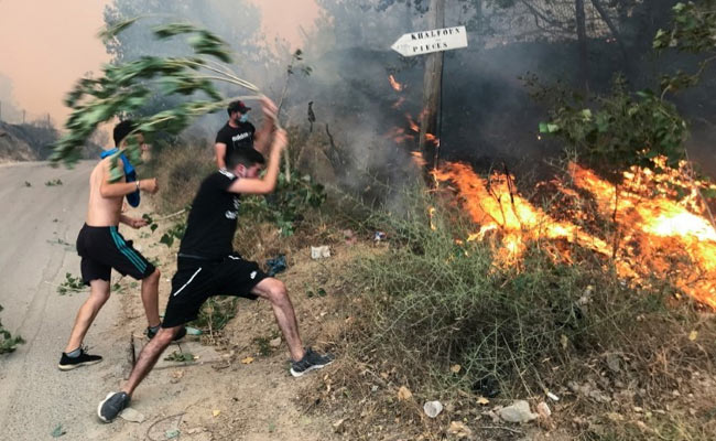 Algeria Mourns 69 Dead As Mediterranean Wildfires Spread