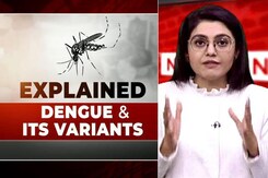 Explained: Dengue And Its Variants Explained: Dengue And Its Variants