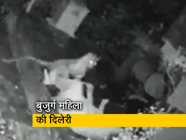 बुजुर्ग महिला ने किया तेंदुए का मुकाबला, कैमरे में कैद हुई घटना