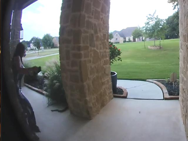 Woman Screams As Snake Jumps Out Of Bushes