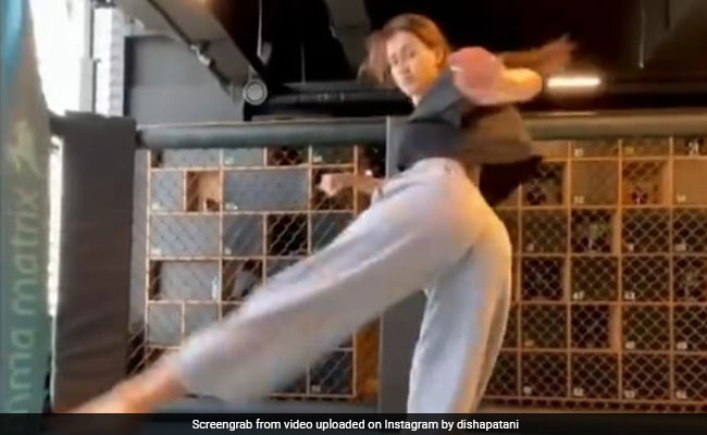 दिशा पटानी ने हवा में उड़कर यूं मारी किक, फैन्स बोले- टाइगर श्रॉफ का असर है...देखें Video