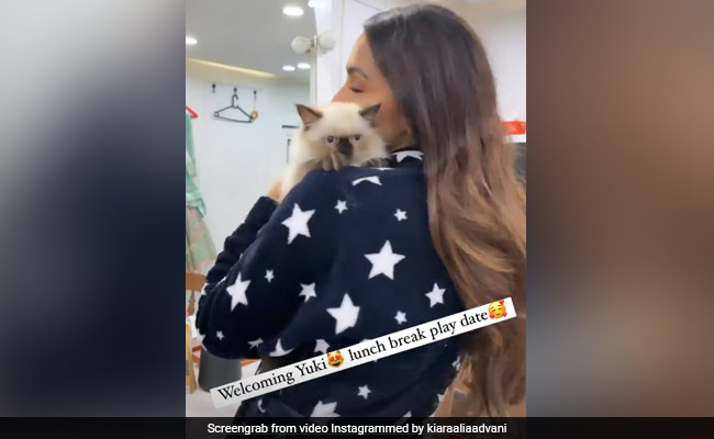 Kiara Advani's "Play Date" With Her Very Own "Smelly Cat" - Meet Yuki