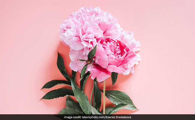 World Rose Day is observed on 22 September every year