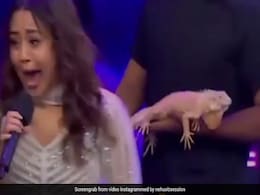 नेहा कक्कड़ के ऊपर रोहित शेट्टी ने फेंकी छिपकली, चिल्ला-चिल्लाकर सिंगर का हुआ बुरा हाल- देखें Video नेहा कक्कड़ के ऊपर रोहित शेट्टी ने फेंकी छिपकली, चिल्ला-चिल्लाकर सिंगर का हुआ बुरा हाल- देखें Video