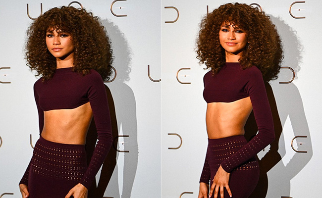 Zendaya Is The Glam Queen Of All Red Carpets In Her Dark Aubergine Co-Ord Set