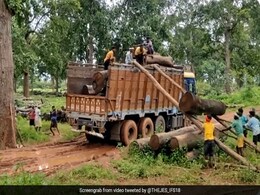 ट्रक पर लकड़ी चढ़ाने के लिए मजदूरों ने किया गजब जुगाड़, वीडियो देख आप भी बोलेंगे, ये होता है Team Work ट्रक पर लकड़ी चढ़ाने के लिए मजदूरों ने किया गजब जुगाड़, वीडियो देख आप भी बोलेंगे, ये होता है Team Work