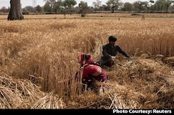 Will Wheat Be Cheaper For Consumers Now? Will Wheat Be Cheaper For Consumers Now?