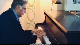 Ratan Tata Celebrates Air India Win With Adorable Flight-Shaped Cookies