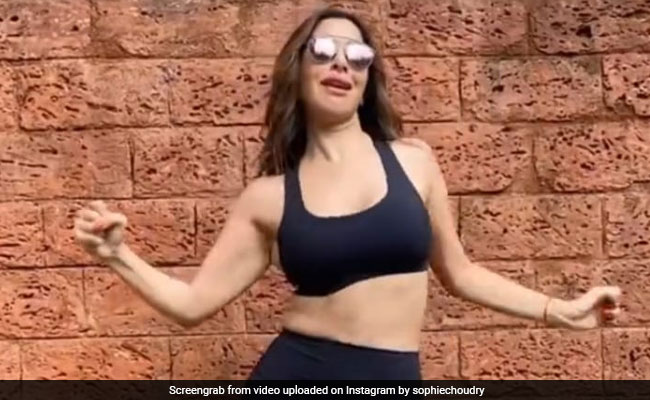 सोफी चौधरी ने अंग्रेजी सॉन्ग पर लगाए शानदार ठुमके, बार-बार देखा जा रहा Video