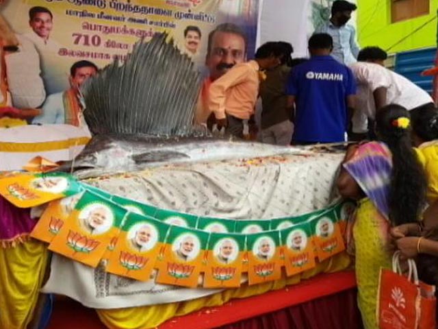 710 Kg Fish Given For Free In Chennai To Mark PM Modi's 71st Birthday