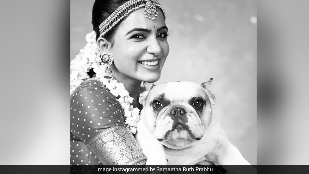 "Do I Ask You For Your Food?" Samantha Ruth Prabhu's Chat With Her Pet Is So Relatable