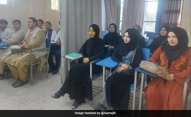 तालिबानी शासन का असली चेहरा! कॉलेज में लड़के-लड़कियों के बीच लगाया गया पर्दा, तस्वीरें वायरल