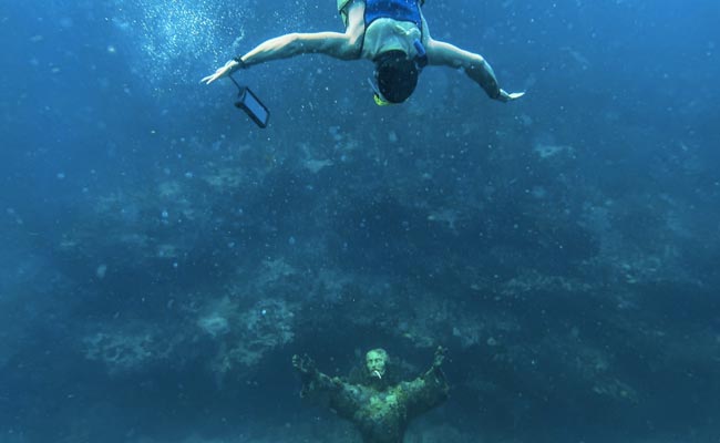 A Race Against Time To Save Florida Coral Reef From Mysterious Disease