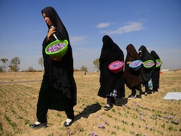 "Won't Sit At Home": Saffron Business Powered By Women Looks Taliban In Eye "Won't Sit At Home": Saffron Business Powered By Women Looks Taliban In Eye