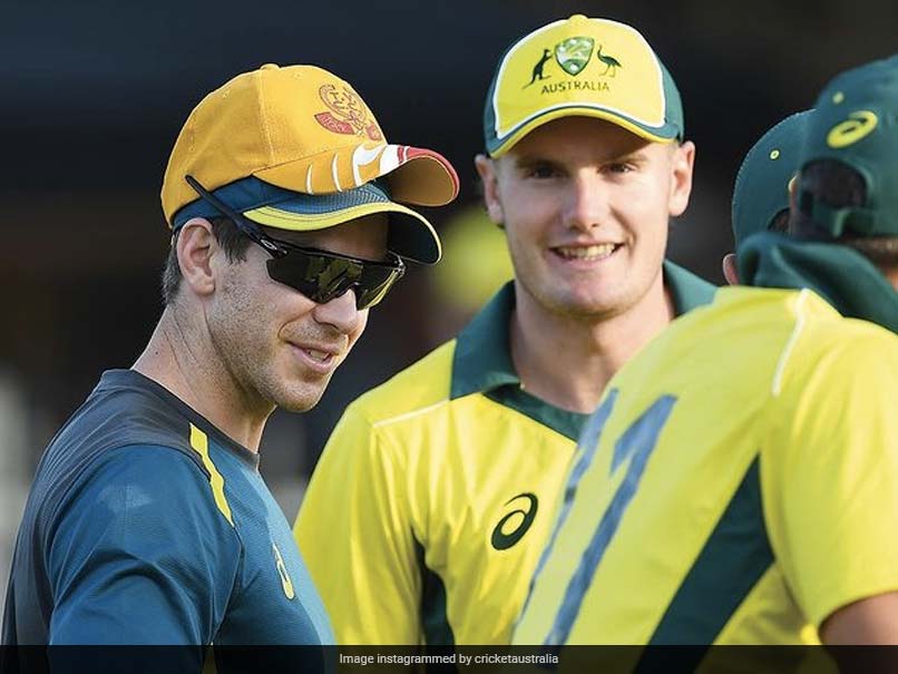 Teams Could Boycott T20 World Cup Over Afghanistan: Tim Paine Teams Could Boycott T20 World Cup Over Afghanistan: Tim Paine