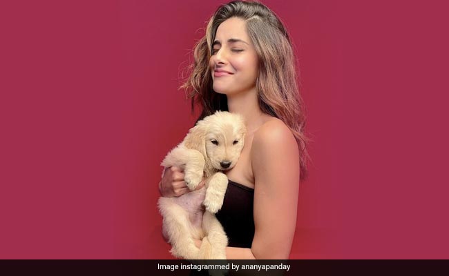 Ananya Panday Had Mixed Emotions On Seeing This Puppy