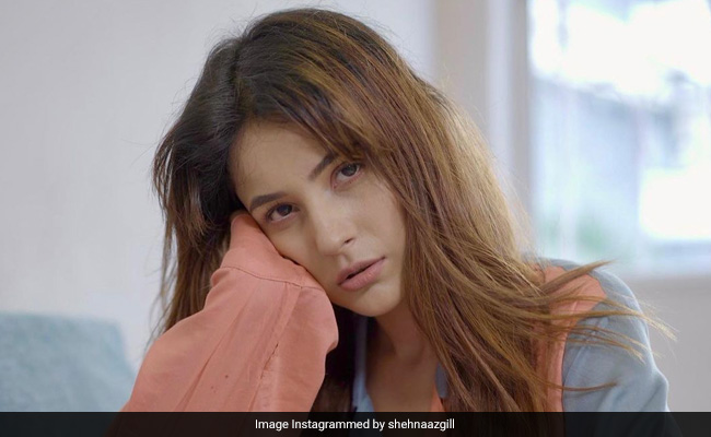 "We Are Waiting For Shehnaaz Gill To Heal," Says Producer Of Her Next Film <I>Honsla Rakh</I>