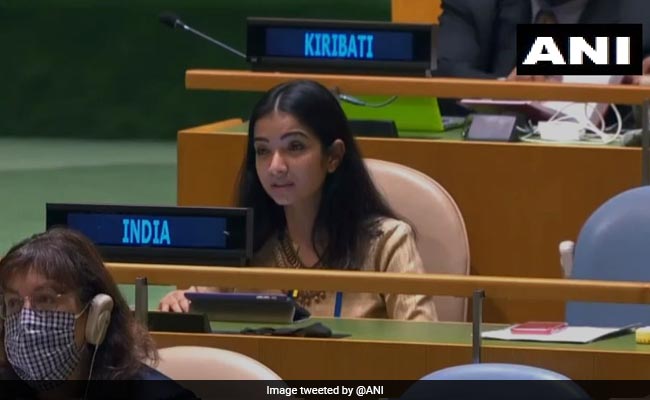 "आग से लड़ने वाले के भेष में आग लगाने वाला देश" : आतंकवाद पर भारत ने पाक को सुनाई खरी-खरी