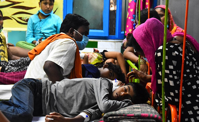 Dengue Cases Piling Up, Outbreak Worst In Several Years: Delhi Hospital