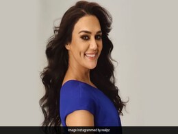 प्रीति जिंटा ने 3 साल पहले लगाया था केले का पेड़, अब आने लगे फल, आप भी घर में ऐसे लगा सकते हैं केले  का पेड़ प्रीति जिंटा ने 3 साल पहले लगाया था केले का पेड़, अब आने लगे फल, आप भी घर में ऐसे लगा सकते हैं केले  का पेड़