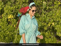 Sunny Leone तोते के साथ खिंचवा रही थी फोटो, तभी उसने कर दिया अटैक- देखें Photos Sunny Leone तोते के साथ खिंचवा रही थी फोटो, तभी उसने कर दिया अटैक- देखें Photos