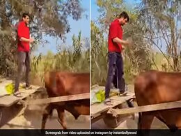 सिद्धार्थ शुक्ला का थ्रोबैक Video हुआ वायरल, यूं 'बैलगाड़ी' चलाते दिखे एक्टर सिद्धार्थ शुक्ला का थ्रोबैक Video हुआ वायरल, यूं 'बैलगाड़ी' चलाते दिखे एक्टर