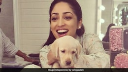 Yami Gautam's Ice Cream Craving Took A Wild Turn; Guess All The Flavours She Enjoyed