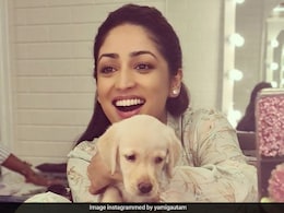 Yami Gautam's Ice Cream Craving Took A Wild Turn; Guess All The Flavours She Enjoyed