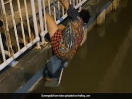 बिल्ली का बच्चा पानी में डूब रहा था, फिर छोटे से लड़के ने किया जुगाड़, खुद को मुश्किल में डाल ऐसे बचाई उसकी जान - देखें Video बिल्ली का बच्चा पानी में डूब रहा था, फिर छोटे से लड़के ने किया जुगाड़, खुद को मुश्किल में डाल ऐसे बचाई उसकी जान - देखें Video