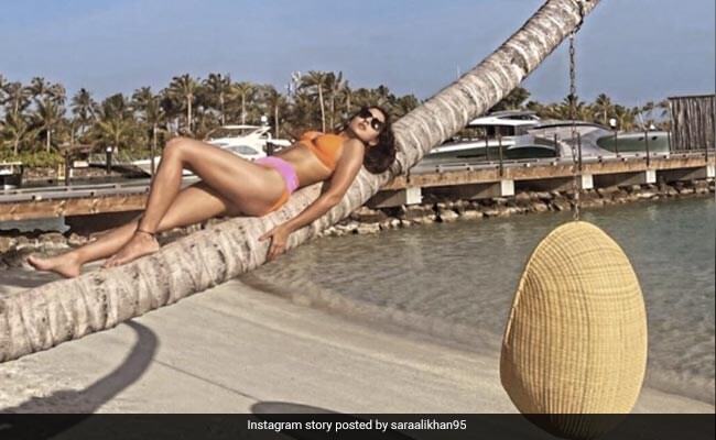 Oh To Be Sunkissed On A Palm Tree In A Vibrant Bikini Like Sara Ali Khan! Oh To Be Sunkissed On A Palm Tree In A Vibrant Bikini Like Sara Ali Khan!