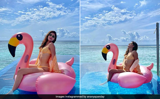 Ananya Panday Is A Tropical "Glamingo" In A Gingham Bikini We Didn't Know We Needed