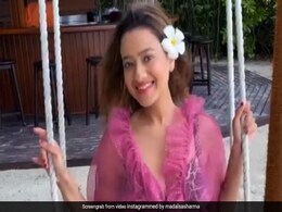 मदालसा शर्मा ने मालदीव के बीच से शेयर की वीडियो, फैंस बोले- अनुपमा मुंबई गई है तो काव्या का जाना तो... मदालसा शर्मा ने मालदीव के बीच से शेयर की वीडियो, फैंस बोले- अनुपमा मुंबई गई है तो काव्या का जाना तो...