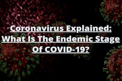 Coronavirus Explained: What Is The Endemic Stage Of COVID-19? Coronavirus Explained: What Is The Endemic Stage Of COVID-19?