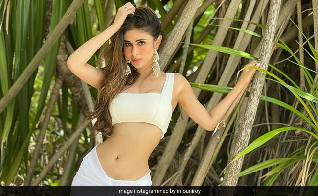Mouni Roy's Latest Stunning Pics Get Fiery Reactions From Vidya Malavade, Teejay Sidhu And Others
