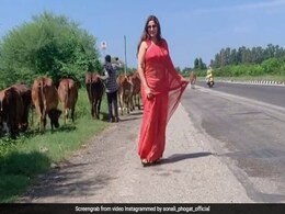 Sonali Phogat ने बीच सड़क पर 'Zaalima' सॉन्ग पर किया डांस, देखे फैन्स के यूं आए रिएक्शंस...देखें Video Sonali Phogat ने बीच सड़क पर 'Zaalima' सॉन्ग पर किया डांस, देखे फैन्स के यूं आए रिएक्शंस...देखें Video