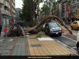 सुनील ग्रोवर ने शेयर की पेड़ गिरने की Photo, बोले- 'जब आप घर से दही-चीनी खाकर निकलते हो' सुनील ग्रोवर ने शेयर की पेड़ गिरने की Photo, बोले- 'जब आप घर से दही-चीनी खाकर निकलते हो'