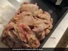 Wait, What? Pile Of Unpacked Raw Chicken Spotted At Airport Baggage Claim